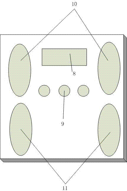 Electronic scale with fat measurement function