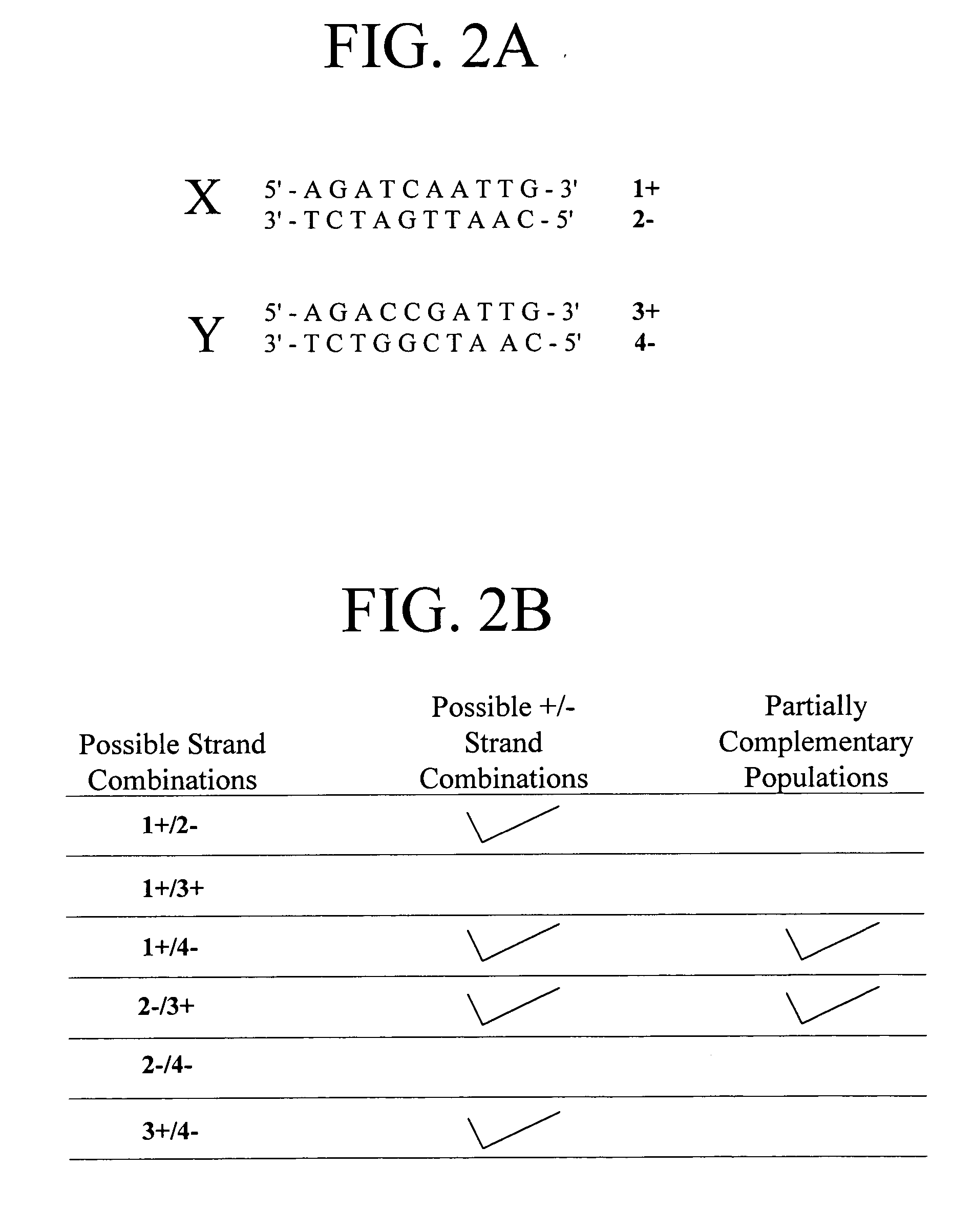 Method of increasing complementarity in a heteroduplex