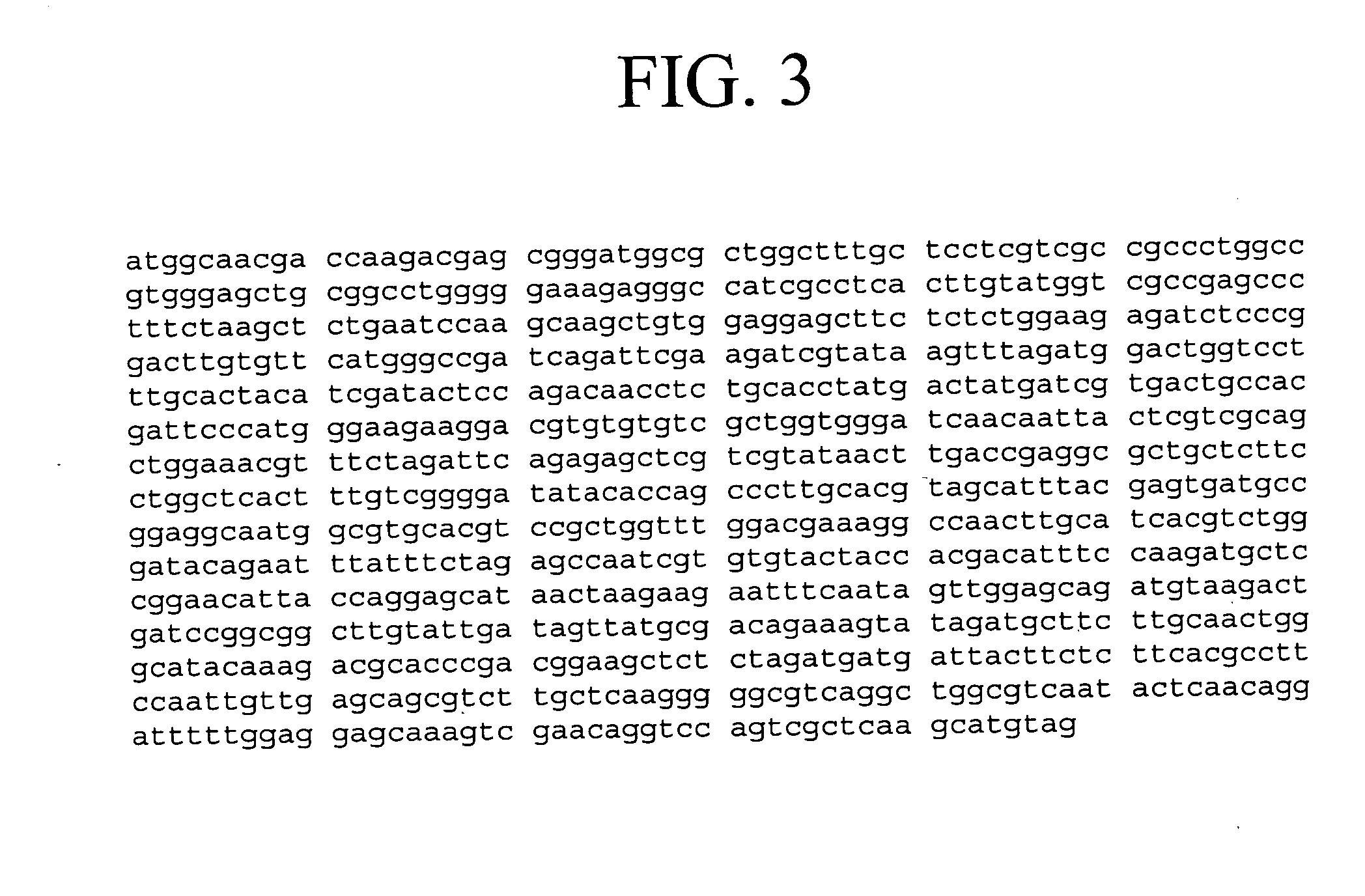 Method of increasing complementarity in a heteroduplex