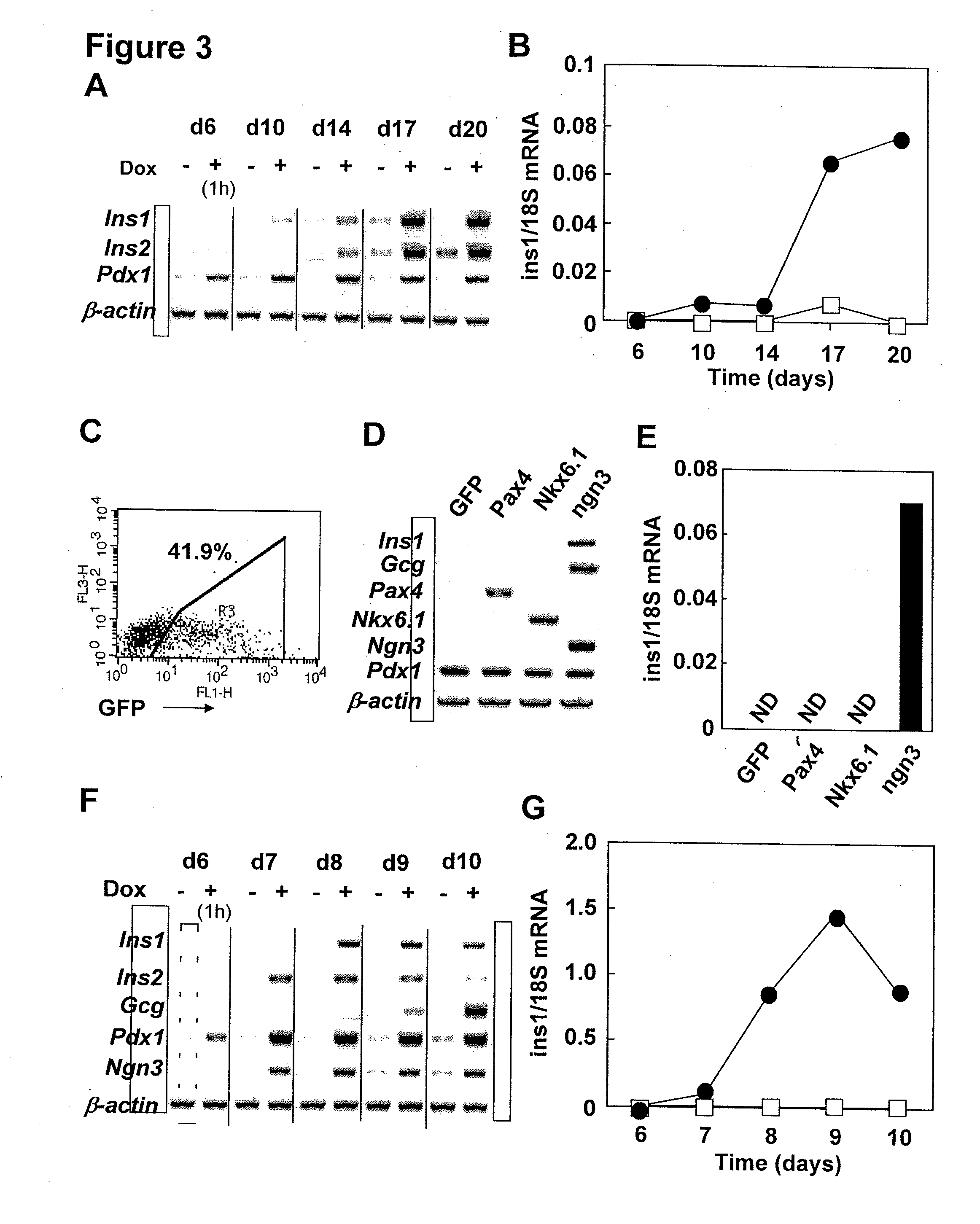 Pancreatic endocrine progenitor cells derived from pluripotent stem cells