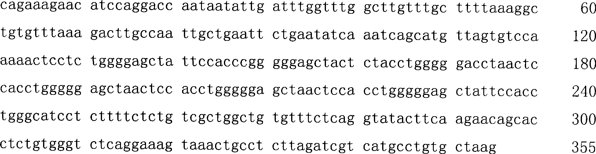 Chloride ion passage gene fragment related to pig intramuscularly fat deposition and use thereof