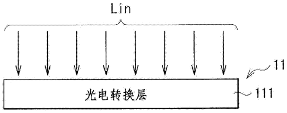 Camera and camera display system