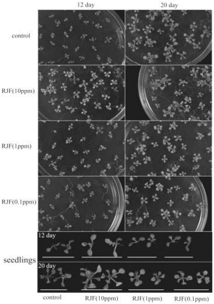 Application of a pyridyl pyrimidinol compound in plant induced resistance