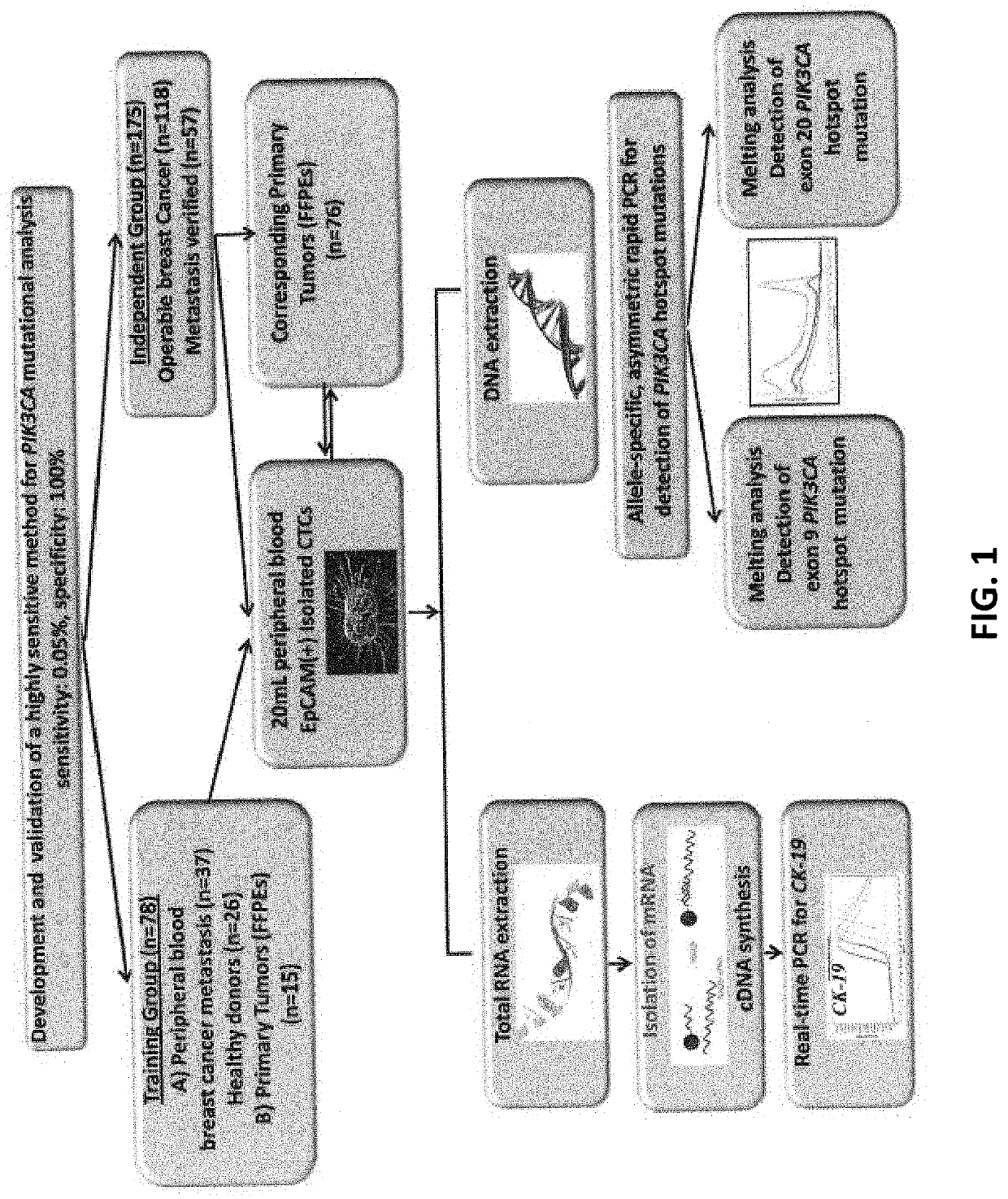 Method Of Determining PIK3CA Mutational Status In A Sample