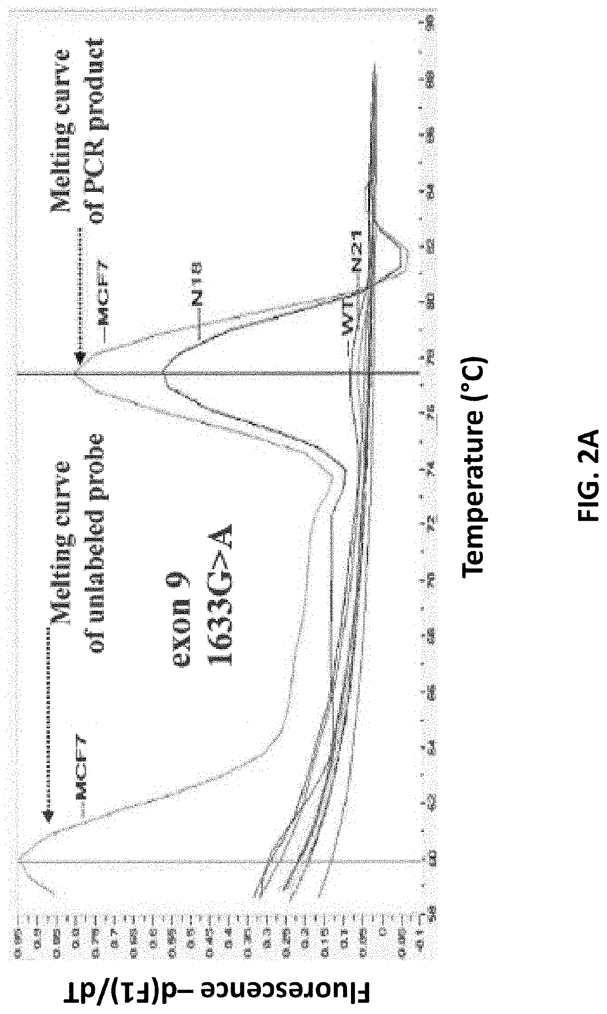 Method Of Determining PIK3CA Mutational Status In A Sample