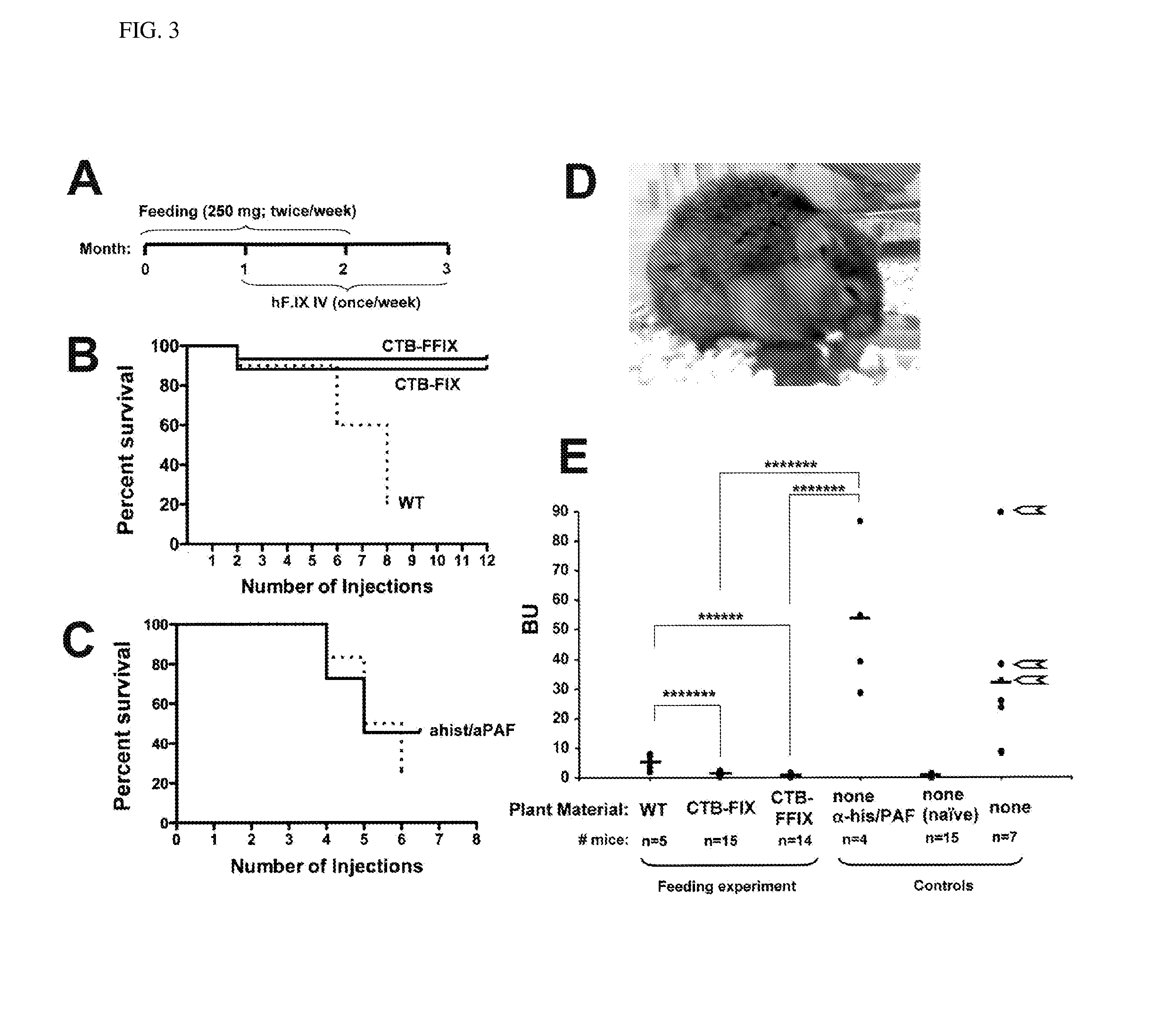 Administration of plant expressed oral tolerance agents