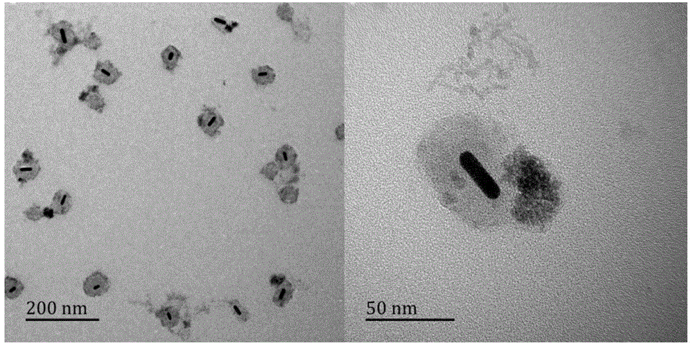 Preparation method of folic acid coupled gold nano-rod/polypyrrole/ferroferric oxide multifunctional composite nano diagnosis and treatment agent