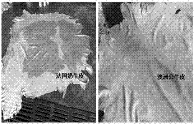 Alkaline compound dehairing enzyme preparation for tanning and its application process