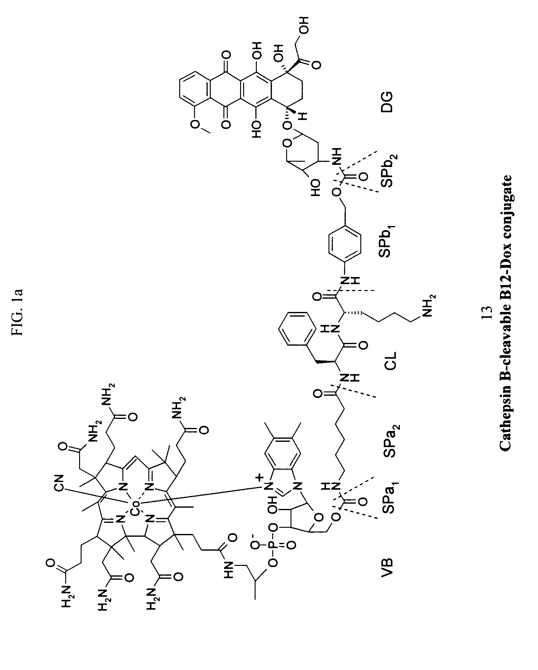 Cobalamin conjugates for anti-tumor therapy