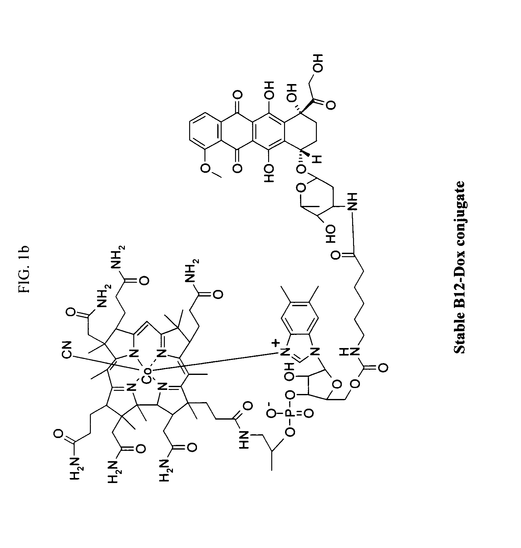 Cobalamin conjugates for anti-tumor therapy