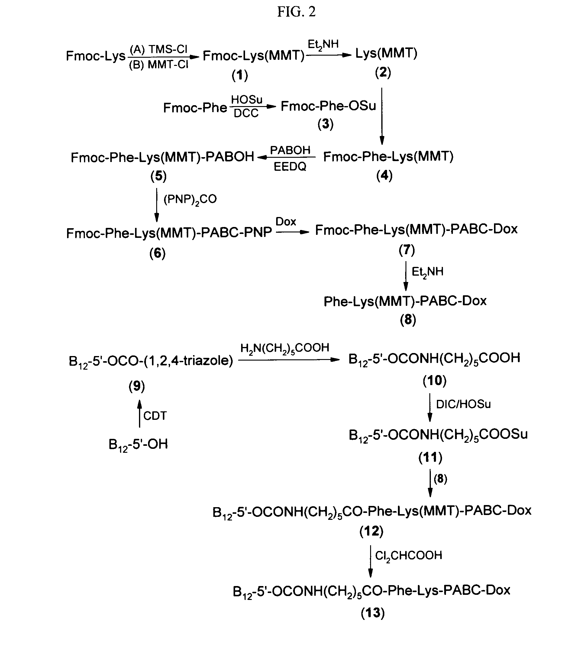 Cobalamin conjugates for anti-tumor therapy