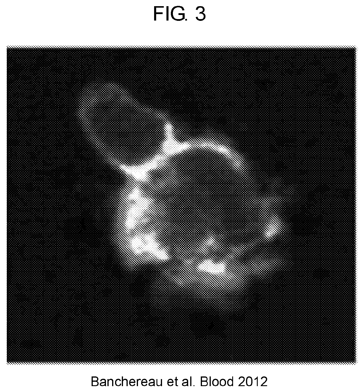 Methods and compositions for t cell activation