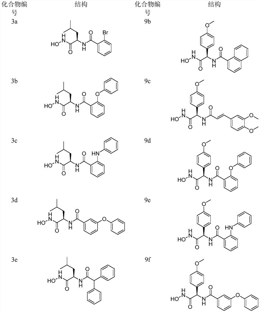 D-amino acid derivative aminopeptidase N inhibitor as well as preparation method and application thereof