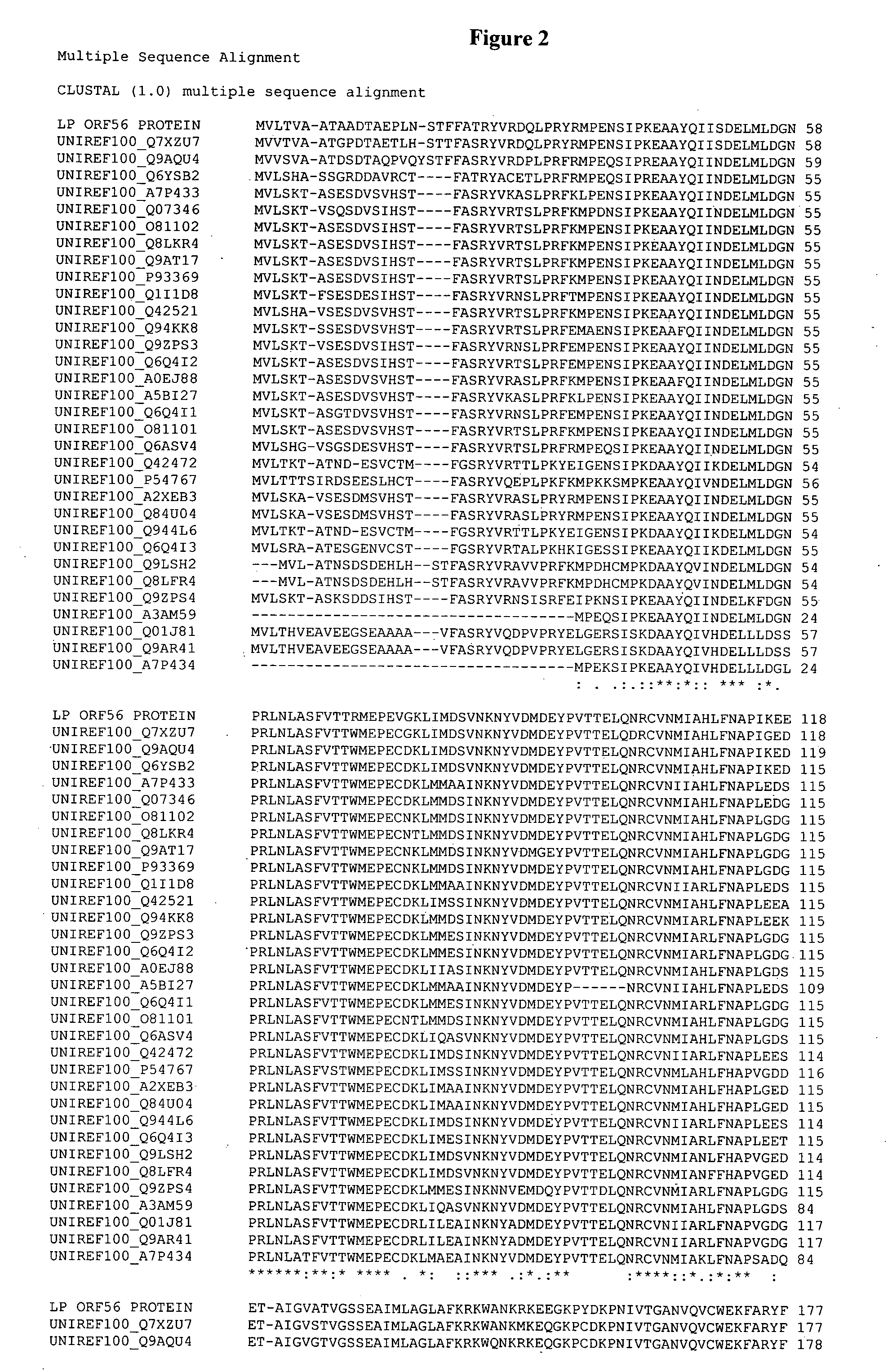 Polynucleotides and methods for the improvement of plants