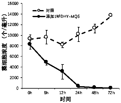 Pseudoalteromonas fivipulchra with algae dissolving capacity and application of pseudoalteromonas to karenia mikimotoi red tide