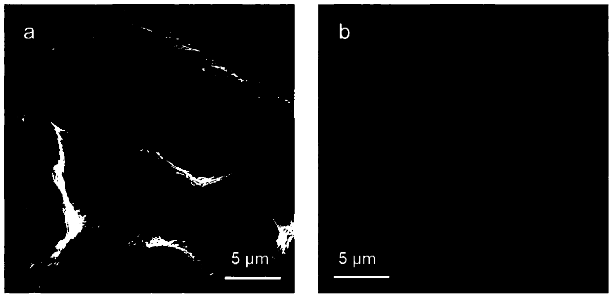 Novel vanadium oxide anode material preparation through valency regulation and surface modification