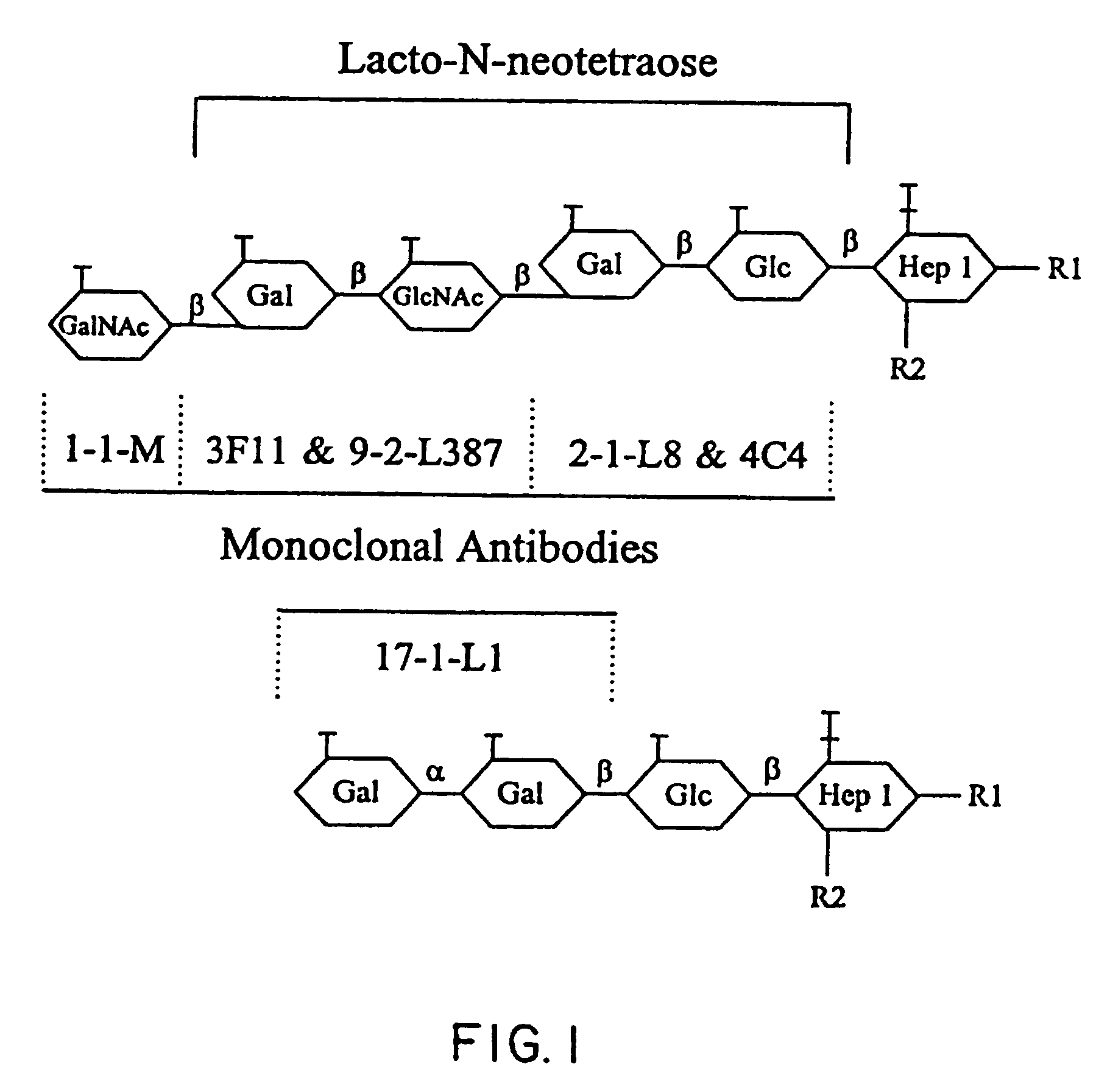 Glycosyltransferases for biosynthesis of oligosaccharides, and genes encoding them