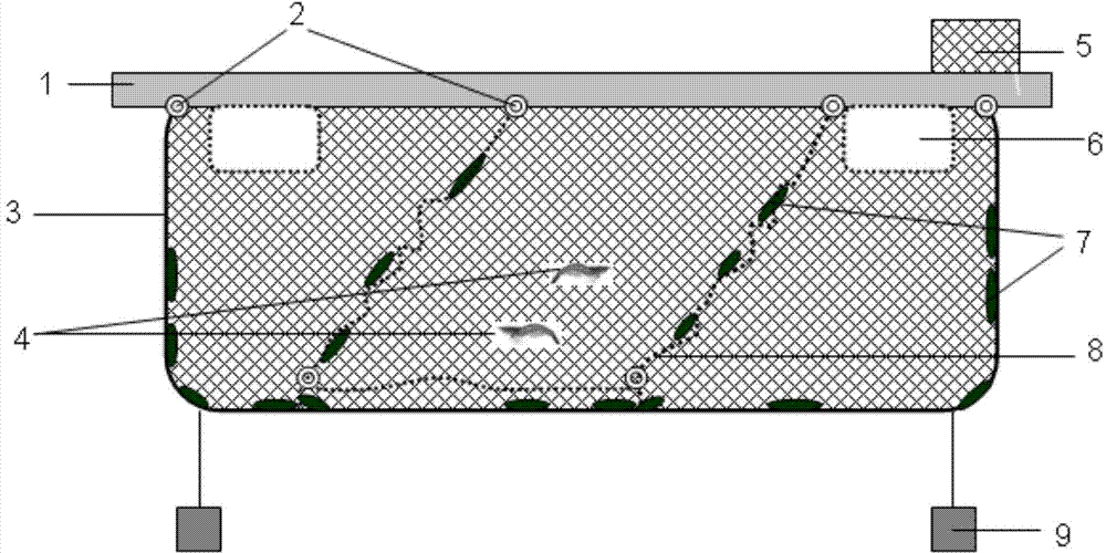 Sea cucumber breeding method