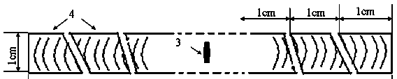 Making method of wood cross section year-by-year growth ring microscopic slices