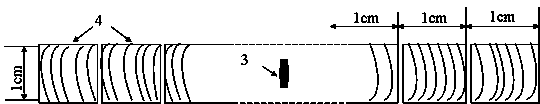 Making method of wood cross section year-by-year growth ring microscopic slices