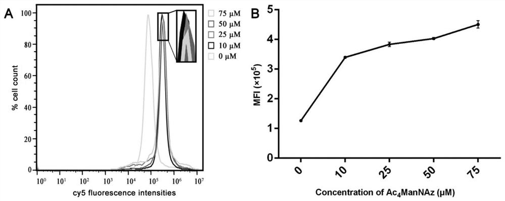 Anti-tumor immune cell based on ligand-targeted cell conjugate (LTCC) technology as well as preparation method and application of anti-tumor immune cell