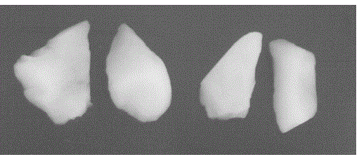 Method for preparing silicon dioxide aerogel with low density and large specific surface area at ordinary pressure