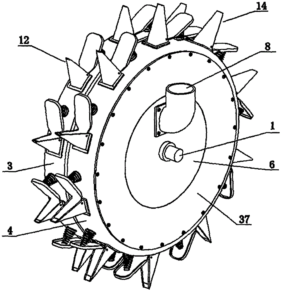 Drum type seed dibble seeding and hole fertilizing seeder