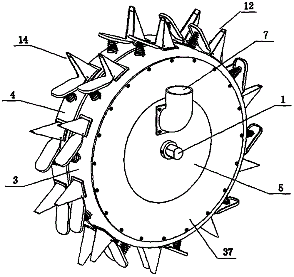 Drum type seed dibble seeding and hole fertilizing seeder