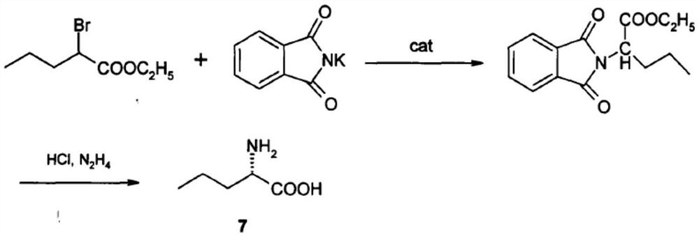 Preparation method of L-norvaline