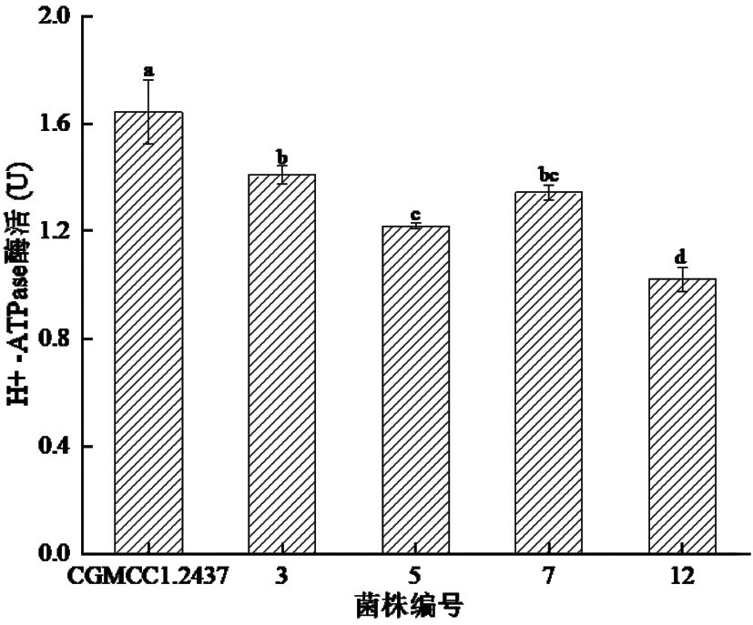 Weak post-acidification Weissella fusiformis and application thereof