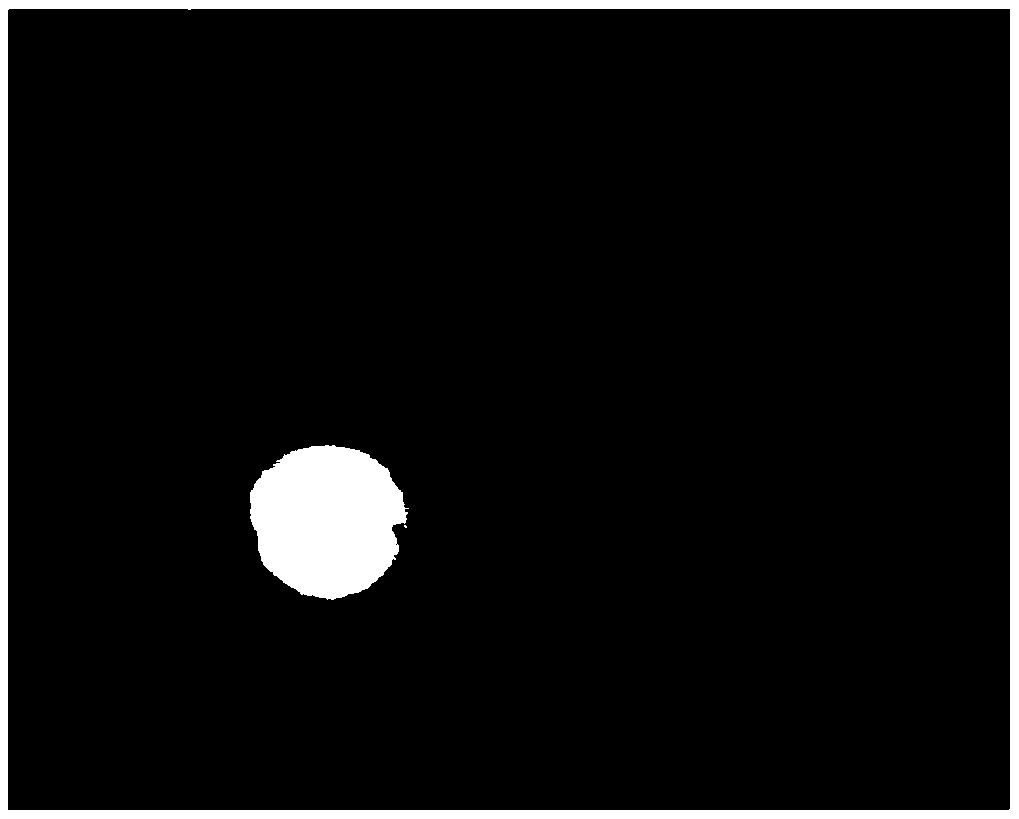 Full-connection bootstrap digital image filtering method and system