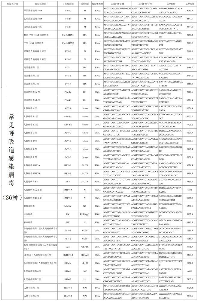 Common fifty-five respiratory tract pathogen high-throughput identification and detection method