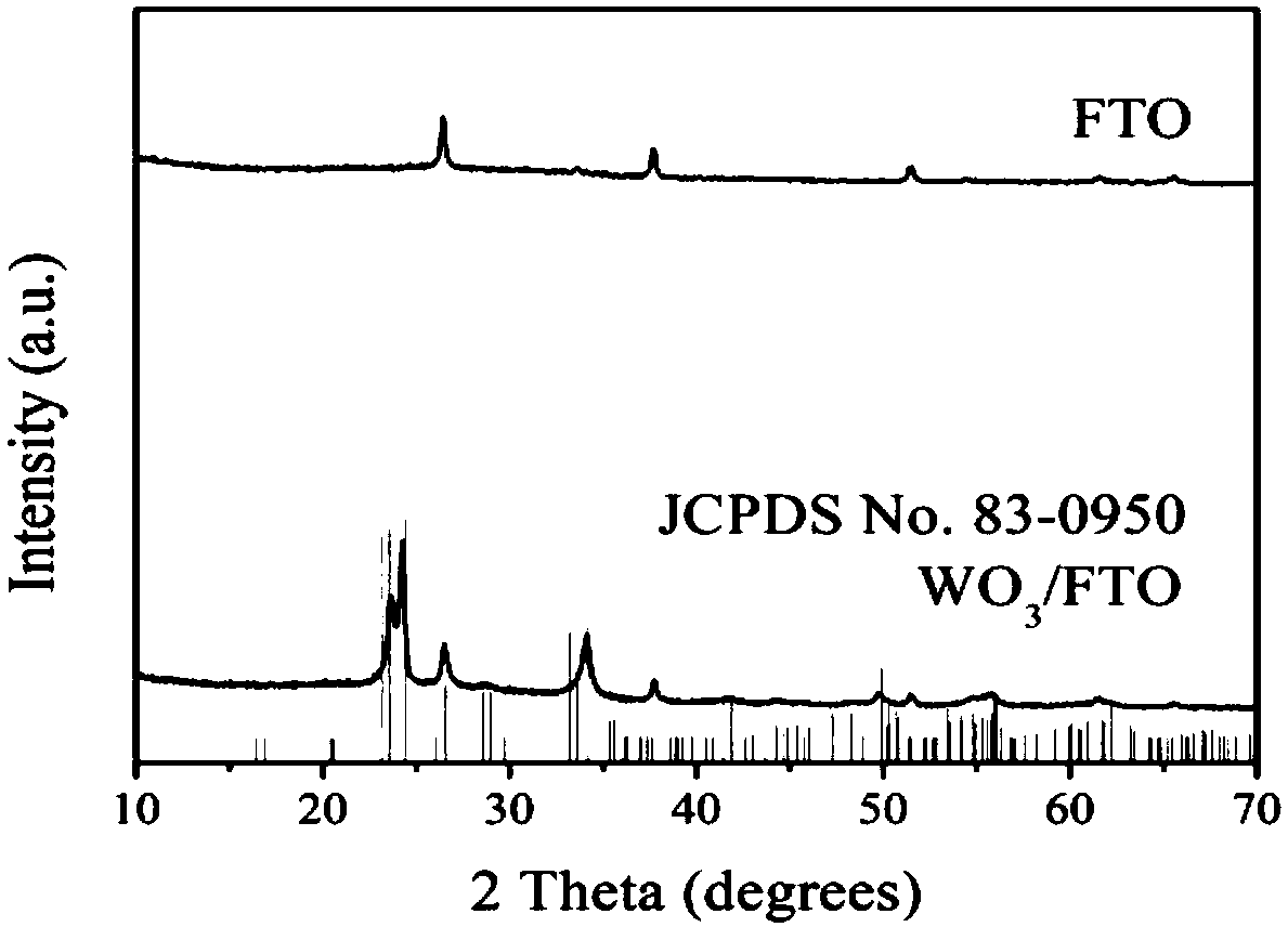 Method used for detecting alcohol concentration of baijiu based on WO3/FTO photoelectric material