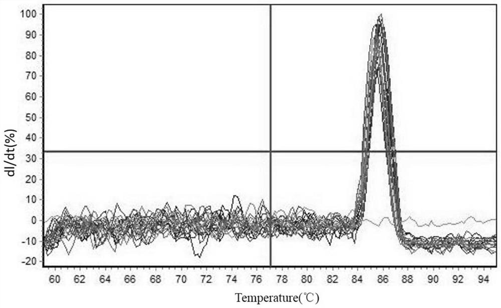 Primer combination and application and detection kit for detecting animal-derived components