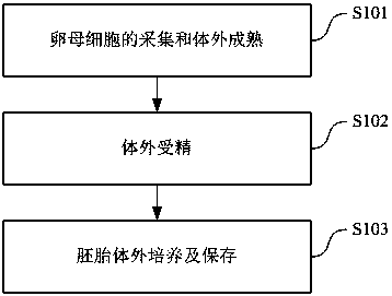 Method for culturing in-vitro fertilized embryo of mammal