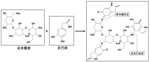 Preparation method of super-hydrophilic anti-fouling antibacterial separation membrane for efficiently separating oil-water emulsion