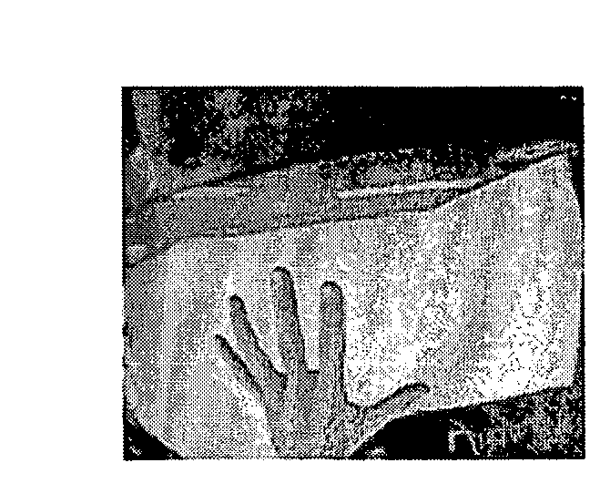 Method for automatically following hand movements in an image sequence