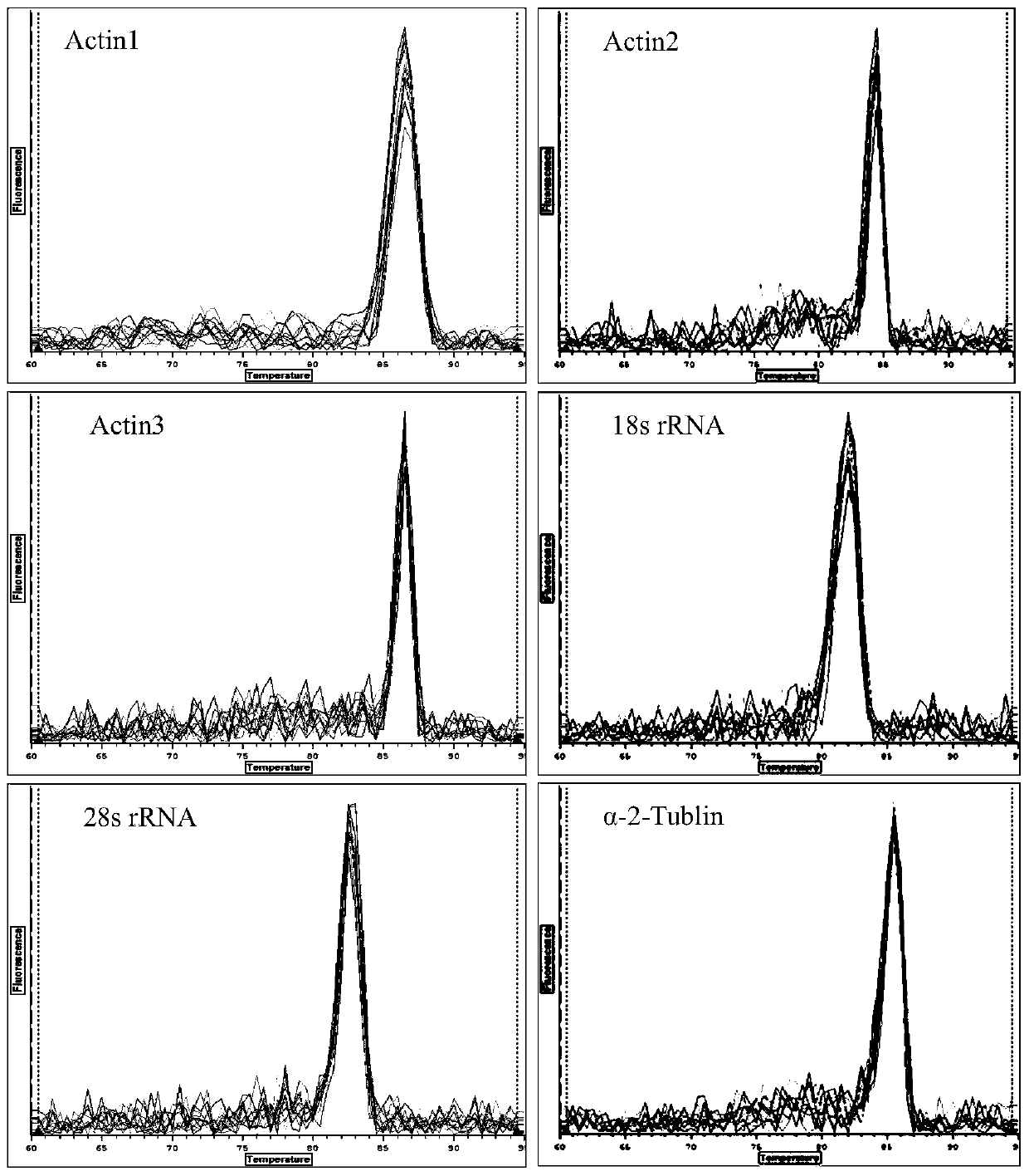 Screening method and applications of brown planthopper reference genes under high temperature stress