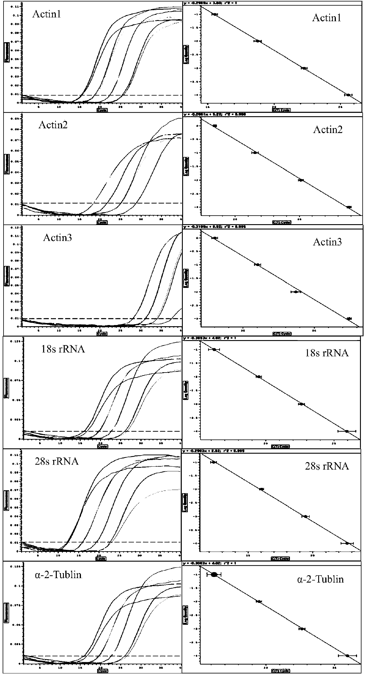 Screening method and applications of brown planthopper reference genes under high temperature stress