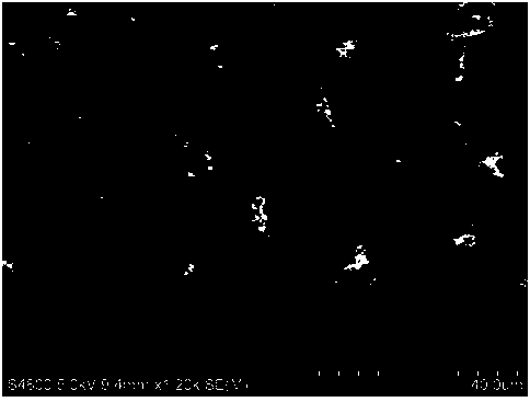 Metal oxide/TiO2 nanocatalyst and preparation method thereof