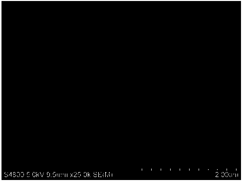 Metal oxide/TiO2 nanocatalyst and preparation method thereof