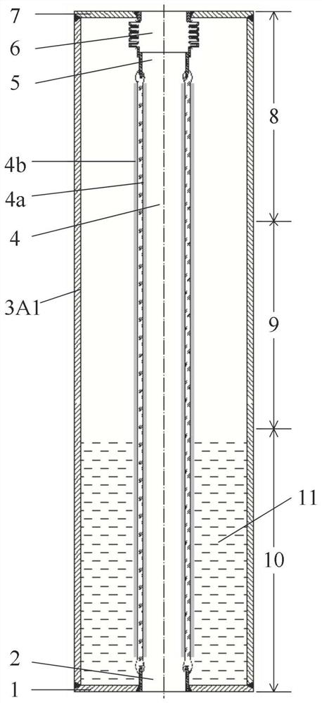 Endoscopic heat pipe visualization device and test method