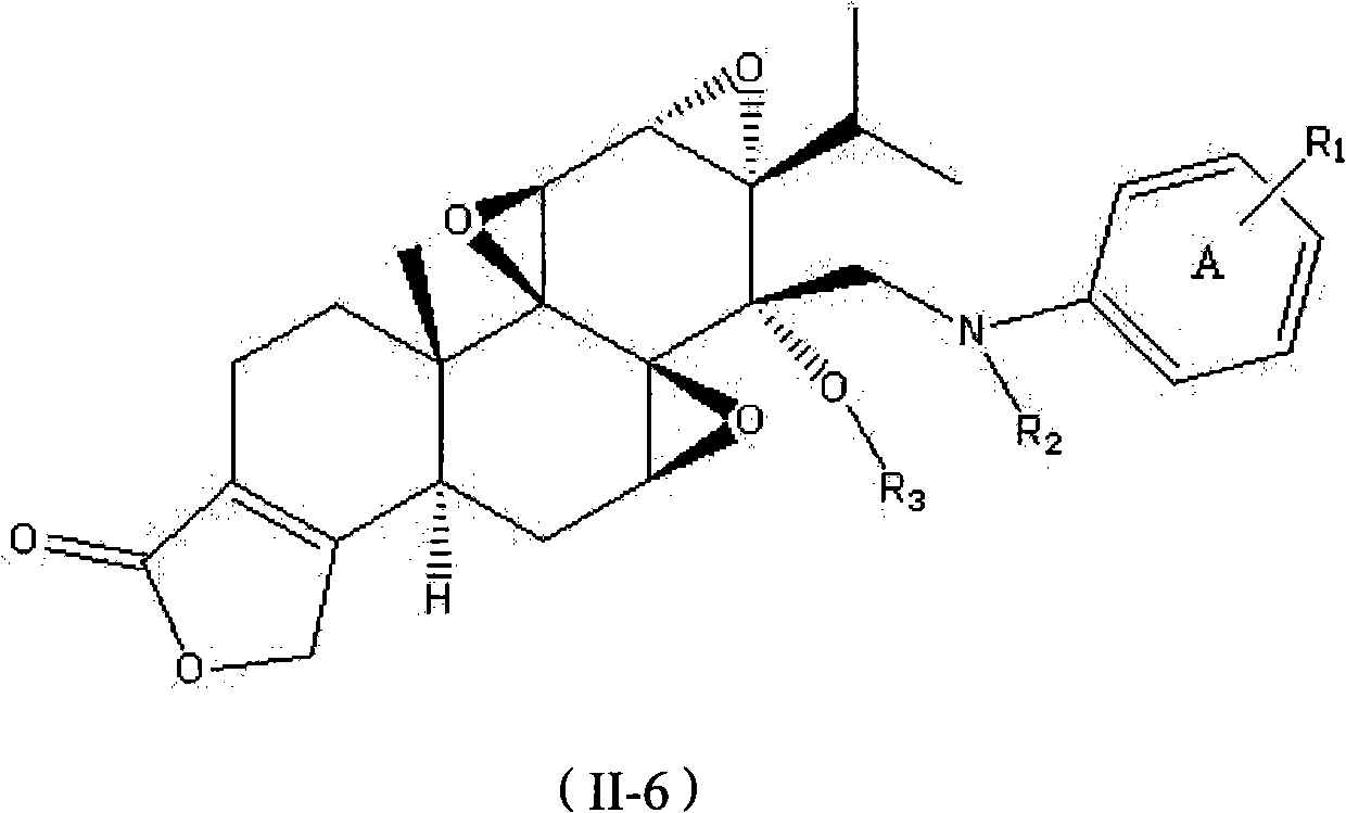 N-substituted amino phenyl-14 beta-(aminomethyl) triptodiolide derivative and preparation method and application thereof