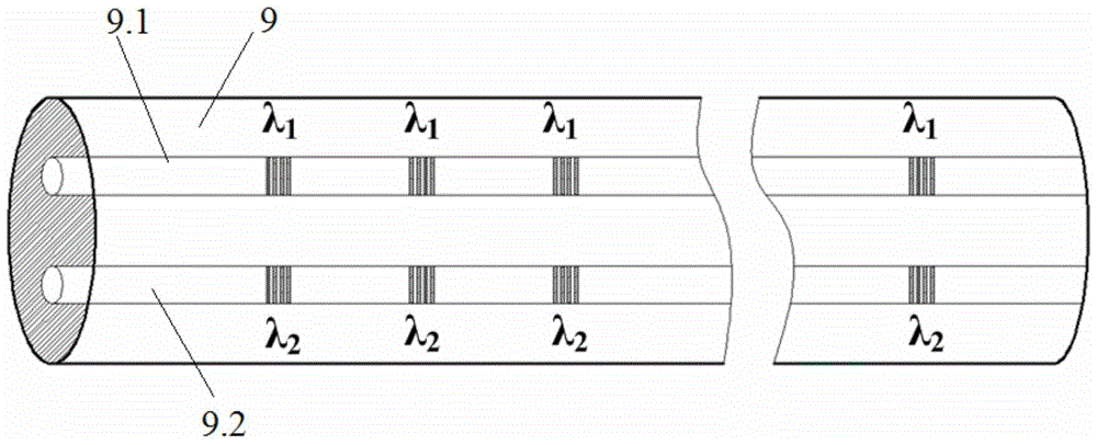 Double-core FBG (fiber bragg grating) array sensing network and distributed sensing information obtaining method