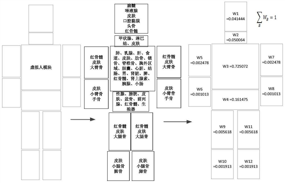 A Voxel-Based Simulation Method of Human External Exposure Dose