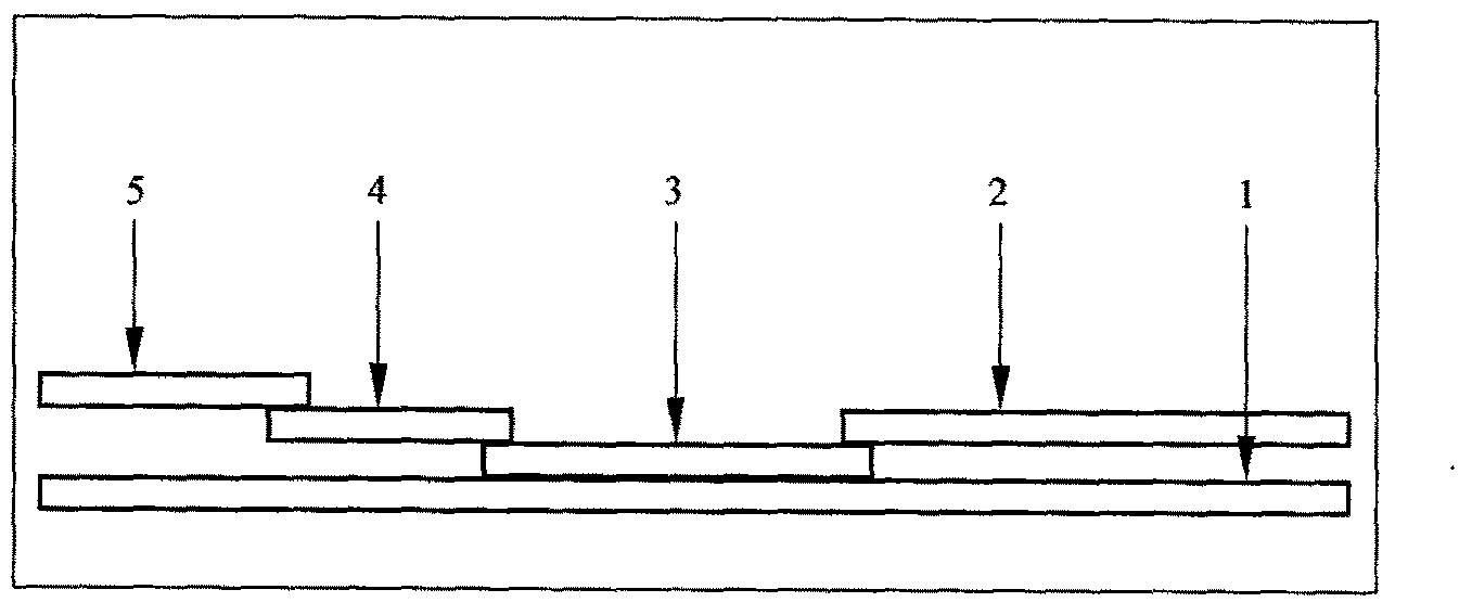 Migratory insect yelk protein detection test paper based on colloidal gold chromatography and preparation method thereof