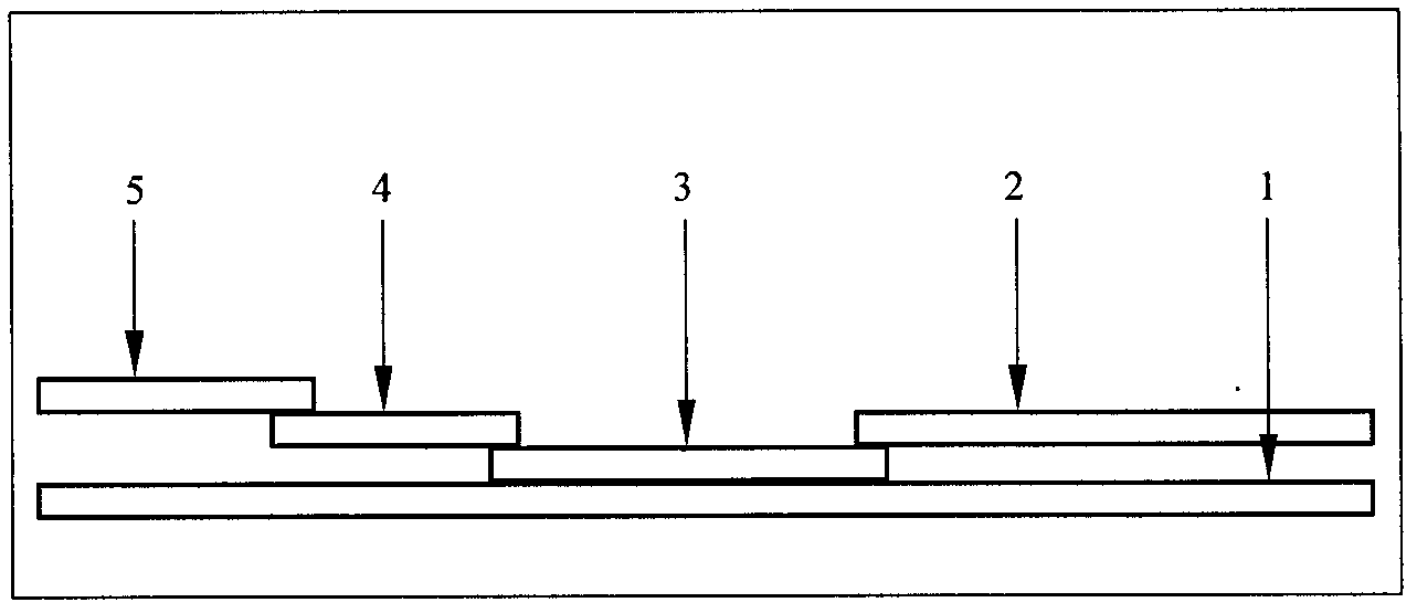 Migratory insect yelk protein detection test paper based on colloidal gold chromatography and preparation method thereof