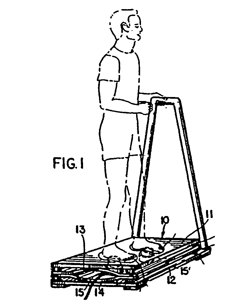 Vibrational loading apparatus for mounting to exercise equipment