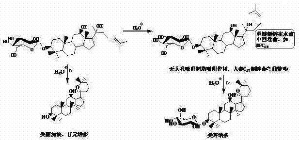 Method for preparing aglycone and secondary glucoside through various glycoside hydolysis assisted by macroporous adsorption resin