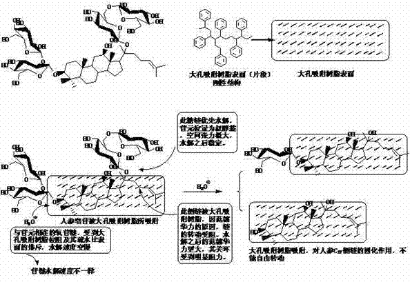 Method for preparing aglycone and secondary glucoside through various glycoside hydolysis assisted by macroporous adsorption resin